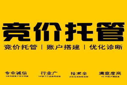高效托管竞价SEM策略解析